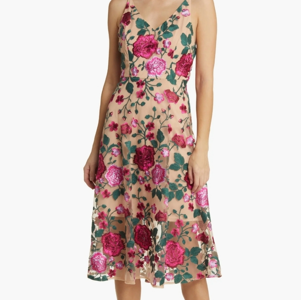 Sam Edelman Rose Embroidery Sleeveless A-Line Dress